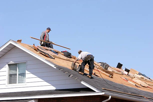 Best Roof Moss and Algae Removal  in , TX